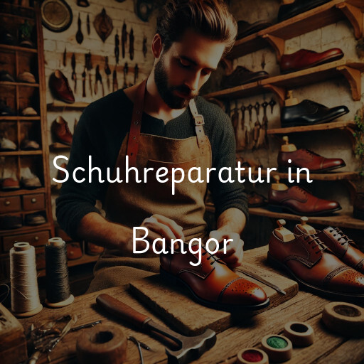Schuhreparatur in Bangor