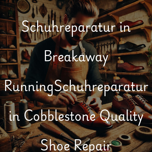 Schuhreparatur in