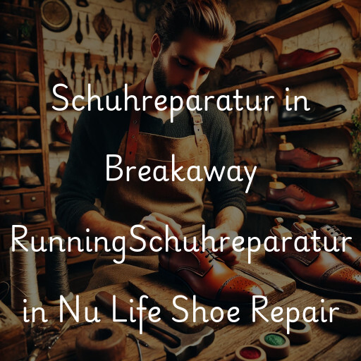 Schuhreparatur in